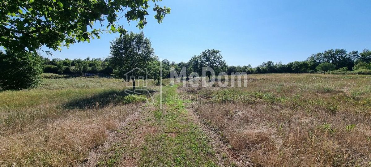 Terreno Žbandaj, Poreč, 20.024m2