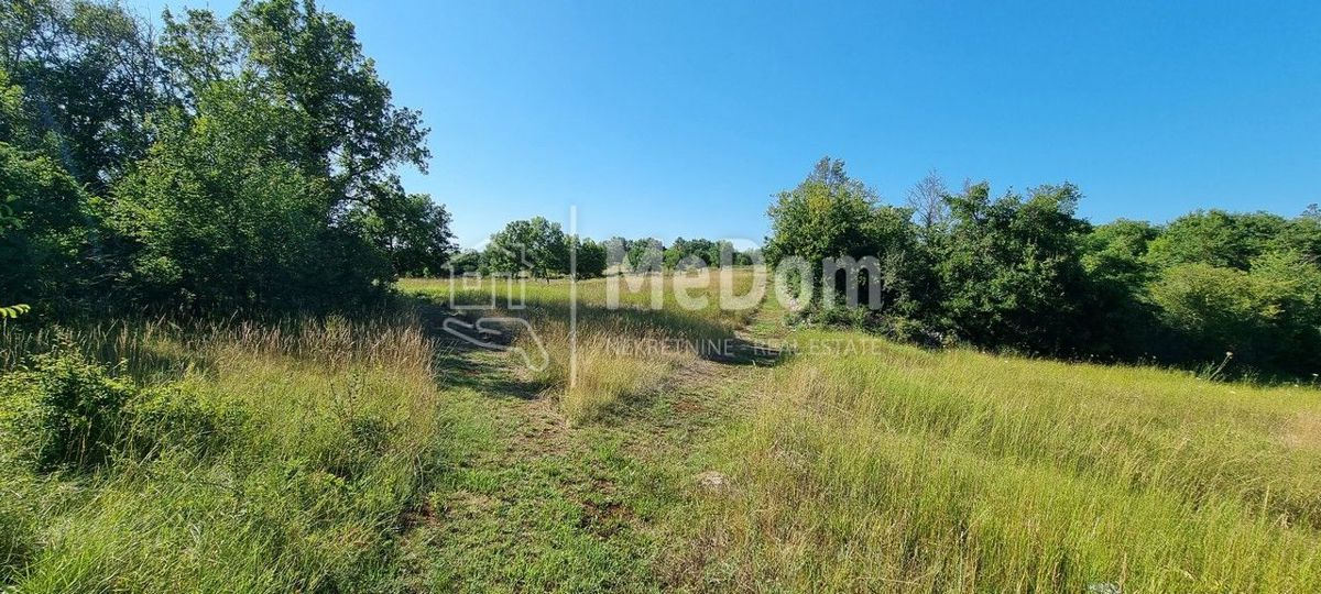 Terreno Žbandaj, Poreč, 20.024m2