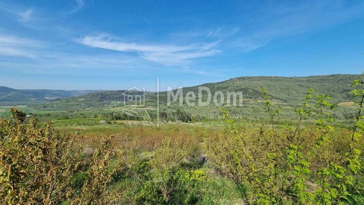 Terreno Kaldir, Motovun, 3.597m2