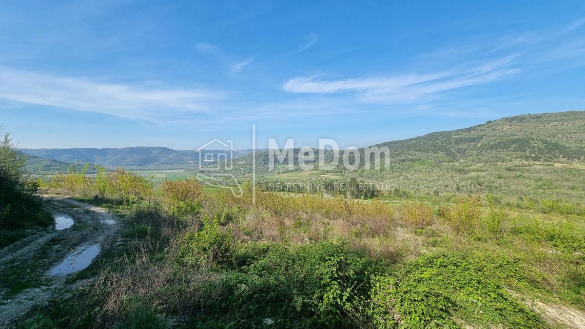 Terreno Kaldir, Motovun, 3.597m2