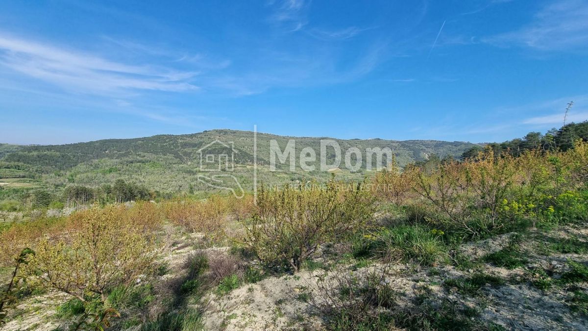 Terreno Kaldir, Motovun, 3.597m2