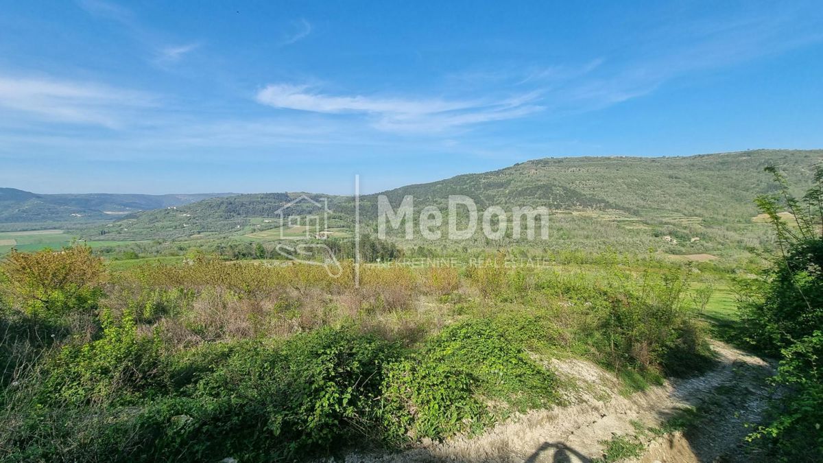 Terreno Kaldir, Motovun, 3.597m2