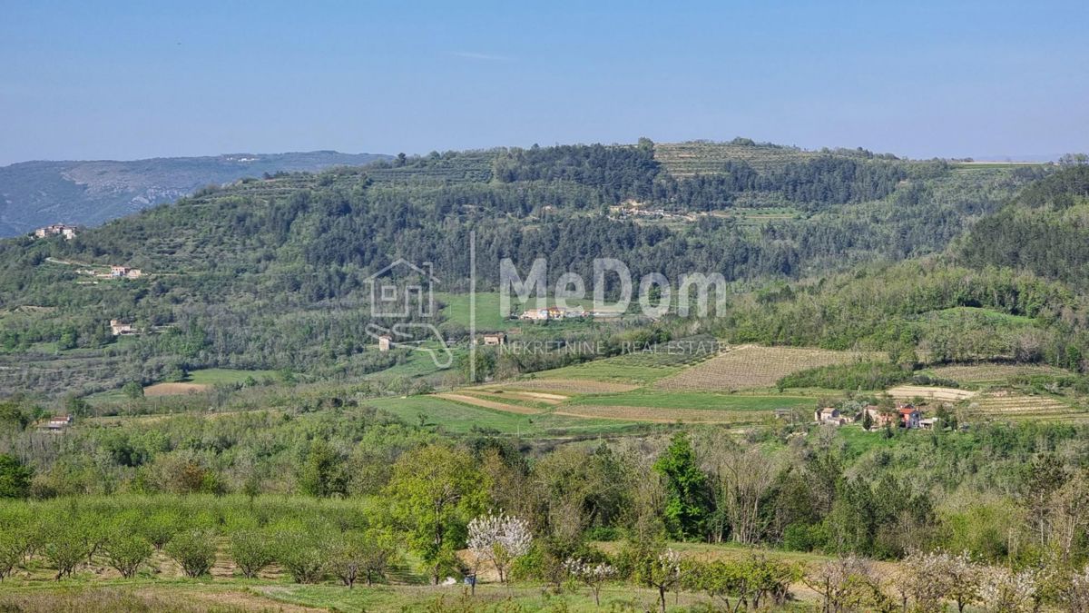 Terreno Kaldir, Motovun, 3.597m2