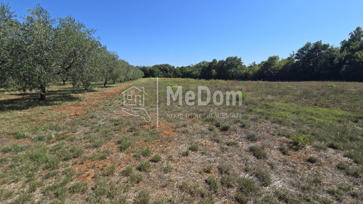 Terreno Ilirija, Pula, 3.948m2