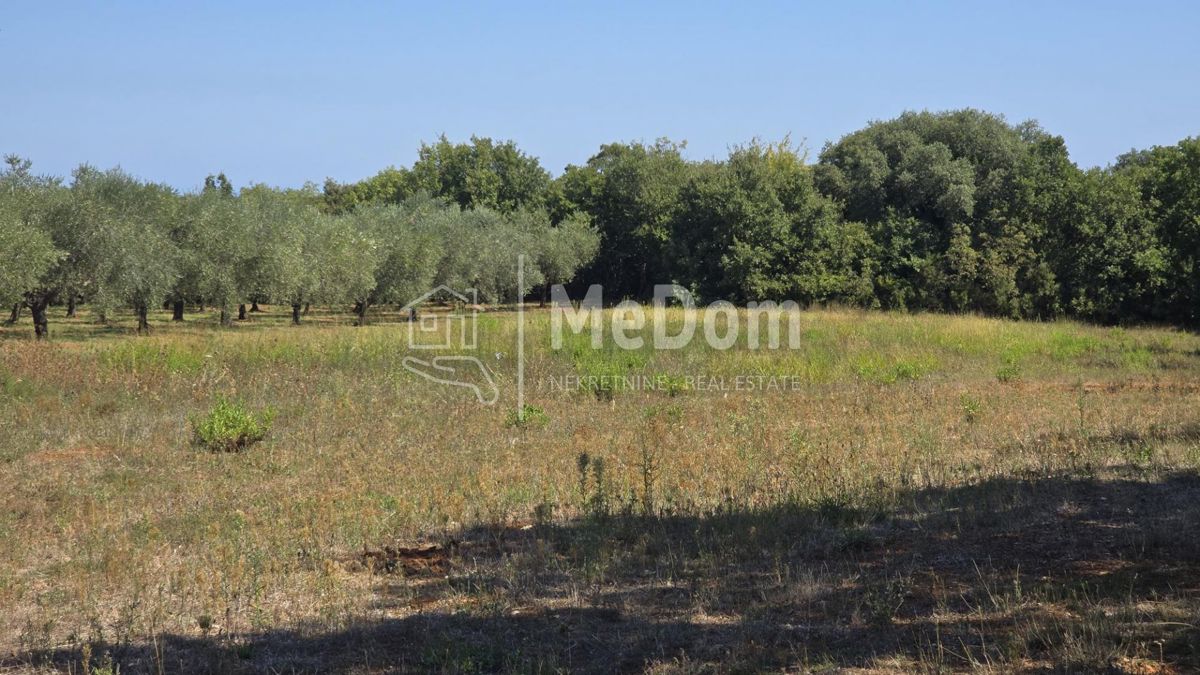 Terreno Ilirija, Pula, 3.948m2