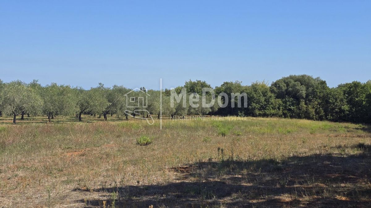 Terreno Ilirija, Pula, 3.948m2