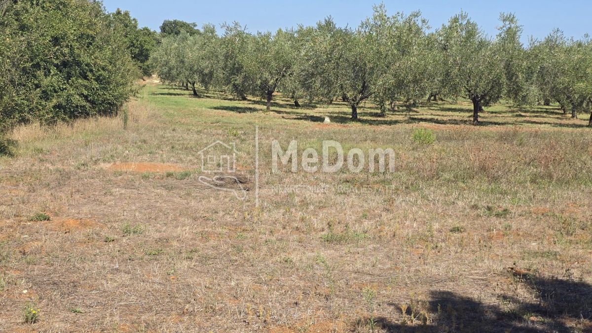 Terreno Ilirija, Pula, 3.948m2