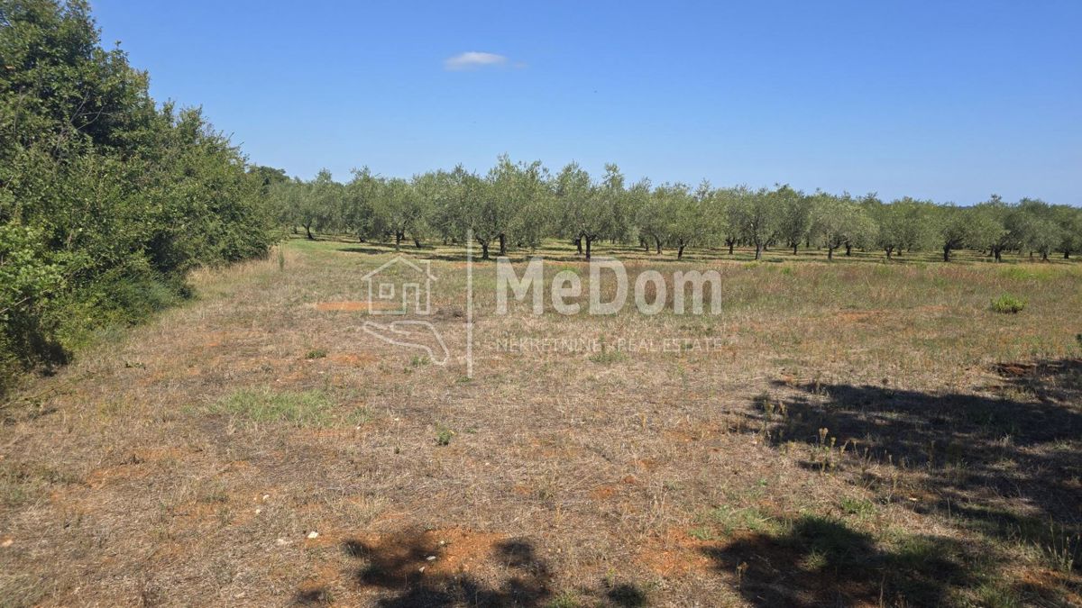 Terreno Ilirija, Pula, 3.948m2