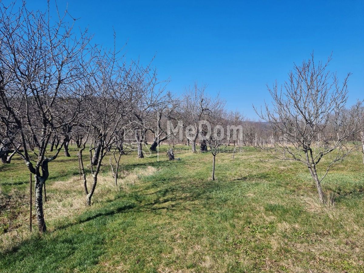 Casa Boljunsko Polje, Lupoglav, 38m2