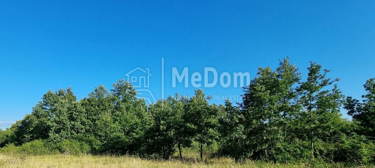 Terreno Pazin,centar, Pazin, 1.564m2