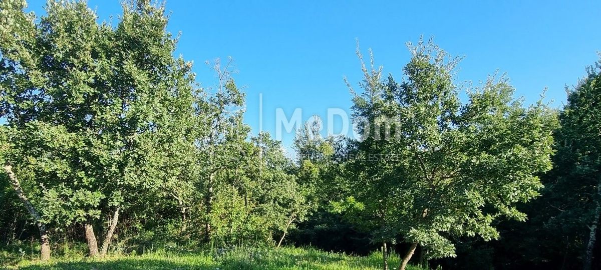 Terreno Pazin,centar, Pazin, 1.564m2