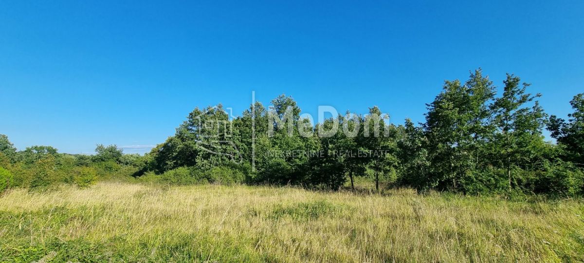 Terreno Pazin,centar, Pazin, 1.564m2