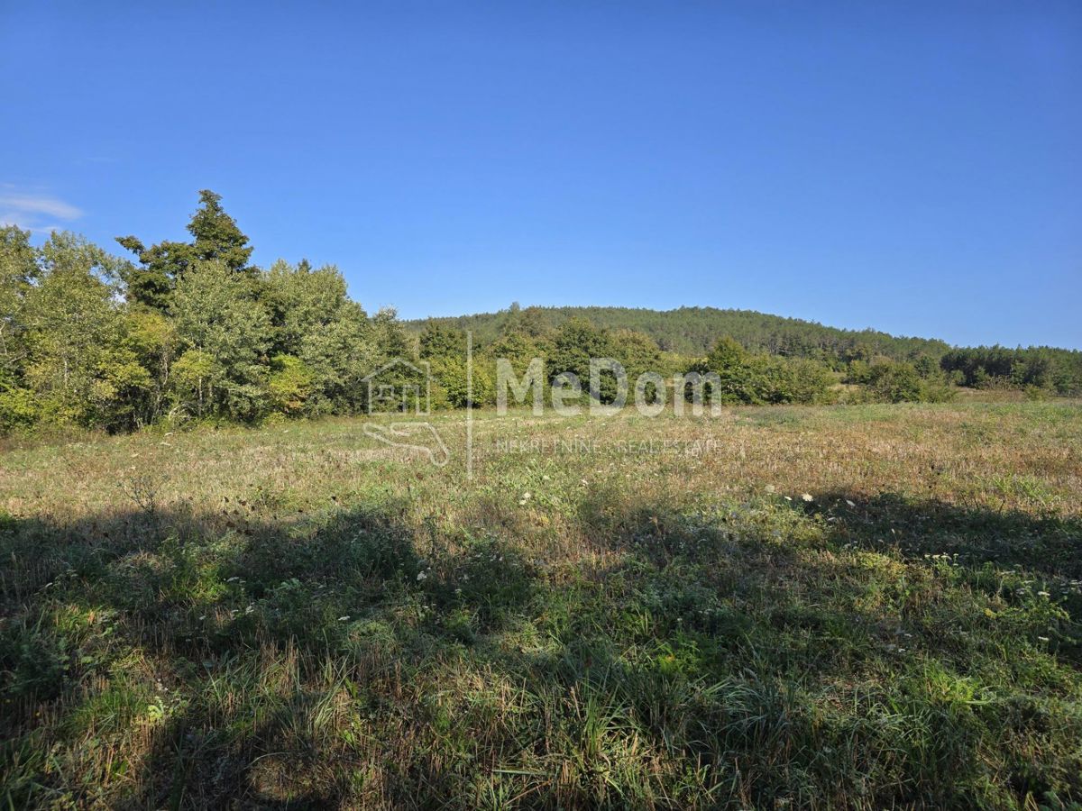 Terreno Pazin,centar, Pazin, 3.730m2