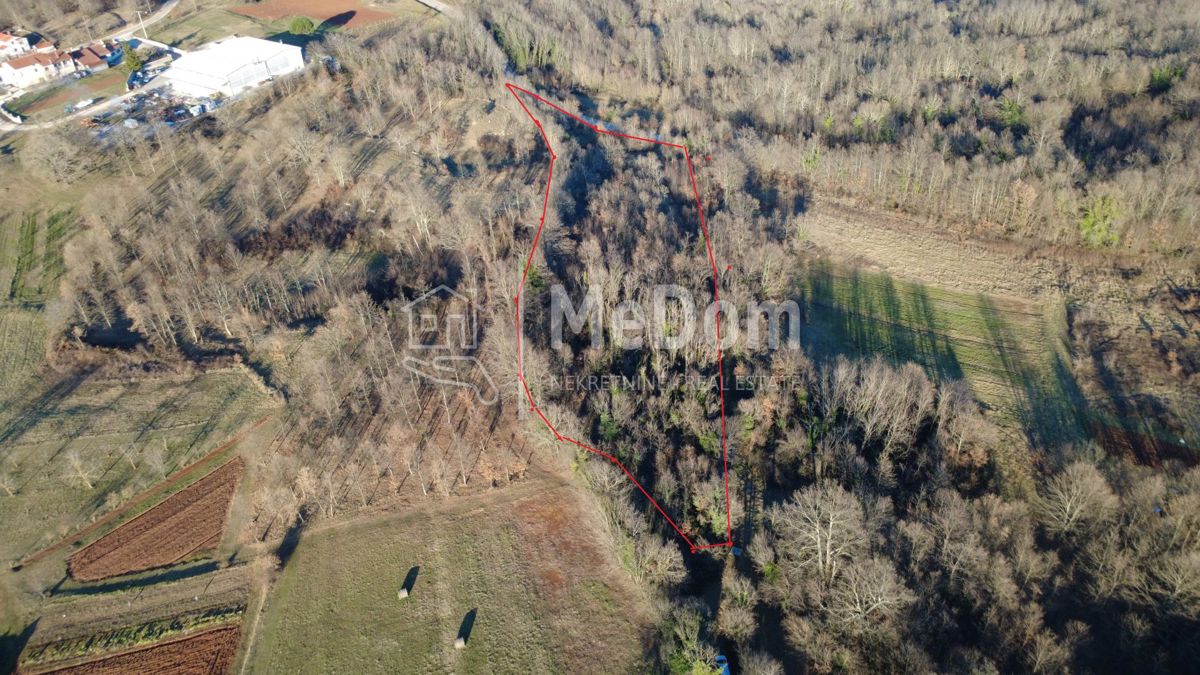 Terreno Balići II Dio, Barban, 8.380m2