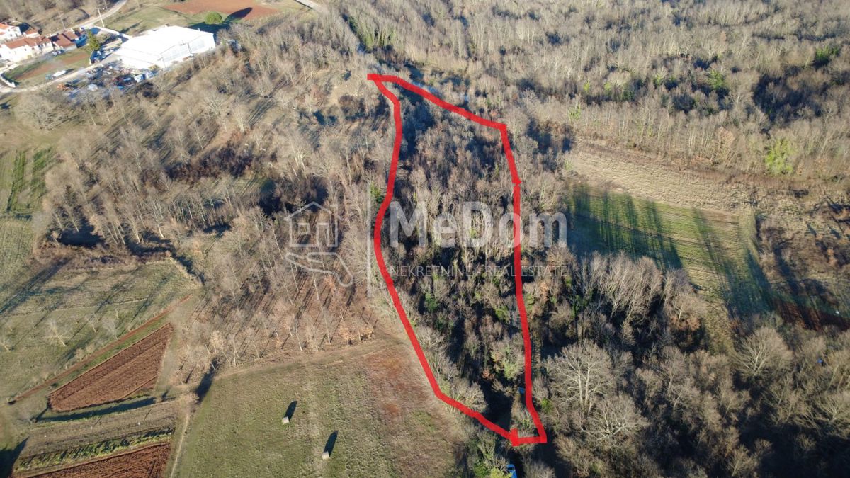 Terreno Balići II Dio, Barban, 8.380m2