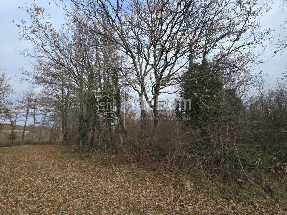 Terreno Balići II Dio, Barban, 8.380m2