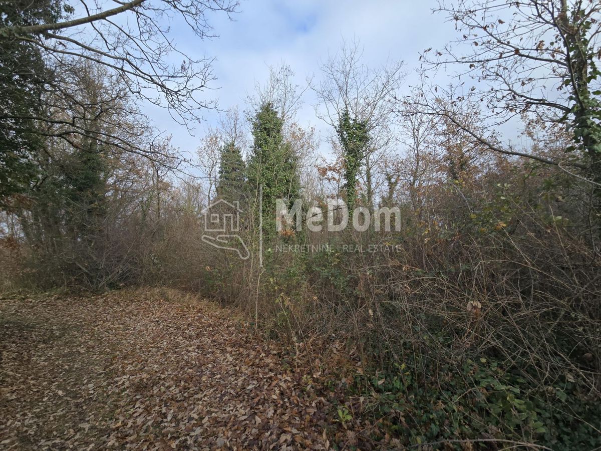 Terreno Balići II Dio, Barban, 8.380m2