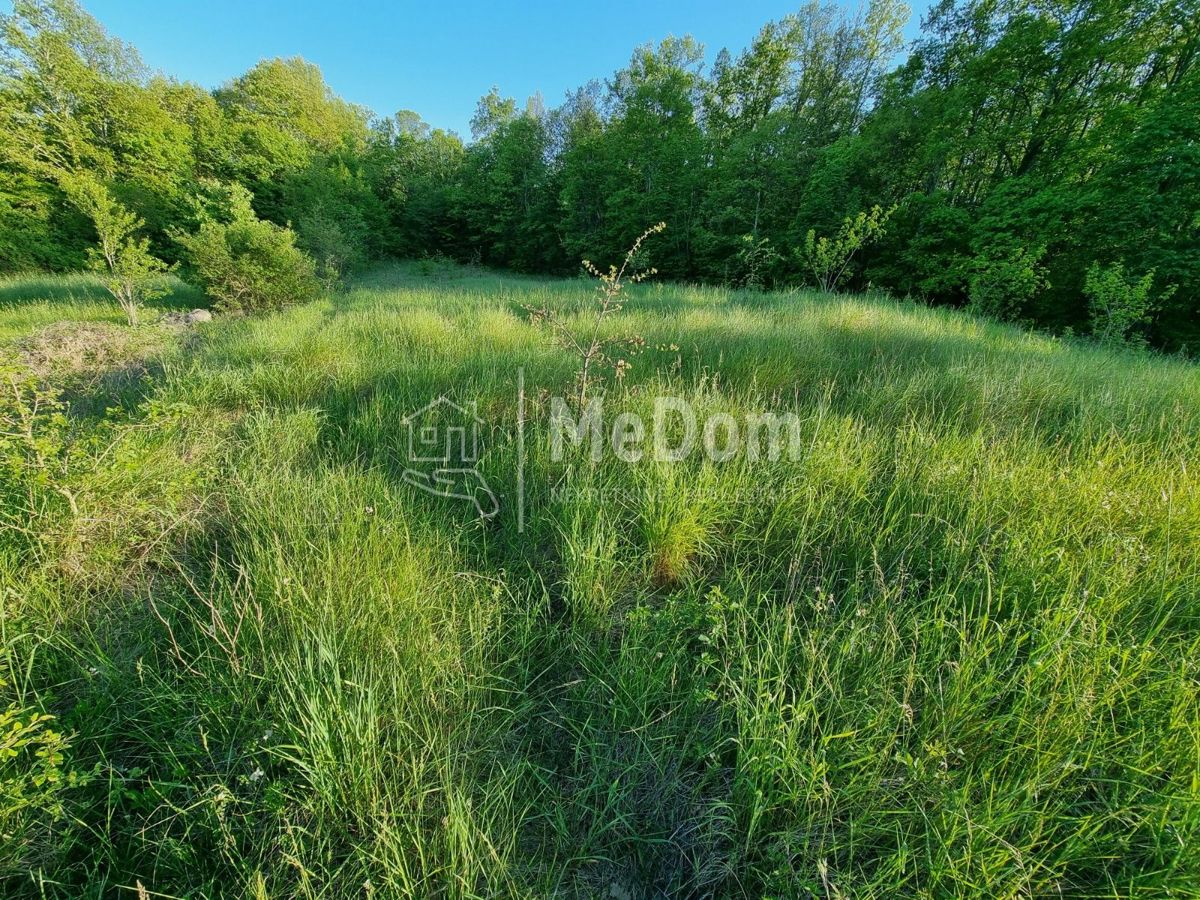 Terreno Polje, Raša, 17.184m2