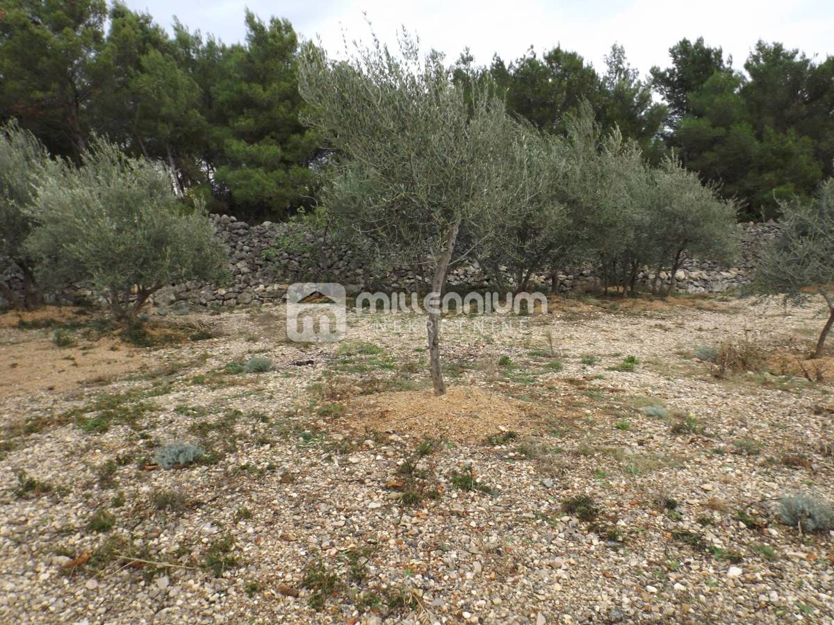Terreno Krk, 2.334m2