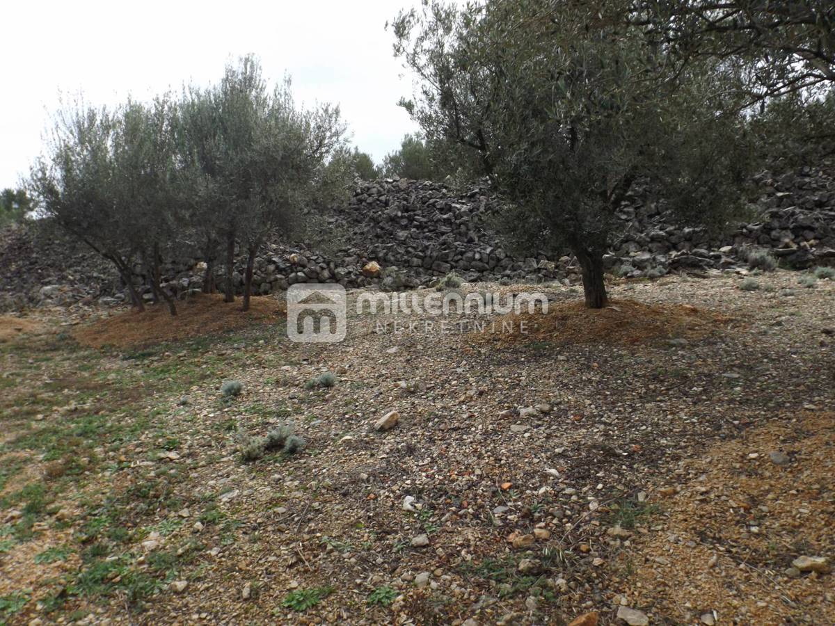 Terreno Krk, 2.334m2