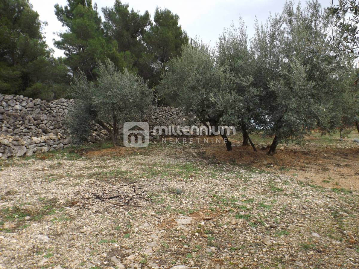 Terreno Krk, 2.334m2
