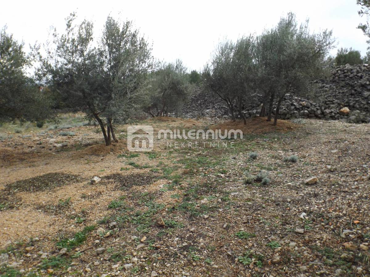 Terreno Krk, 2.334m2