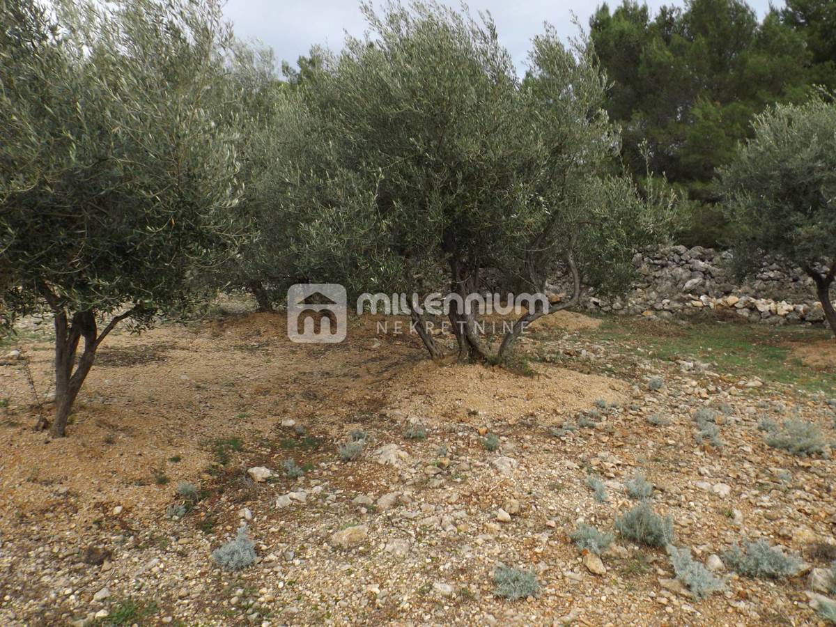 Terreno Krk, 2.334m2