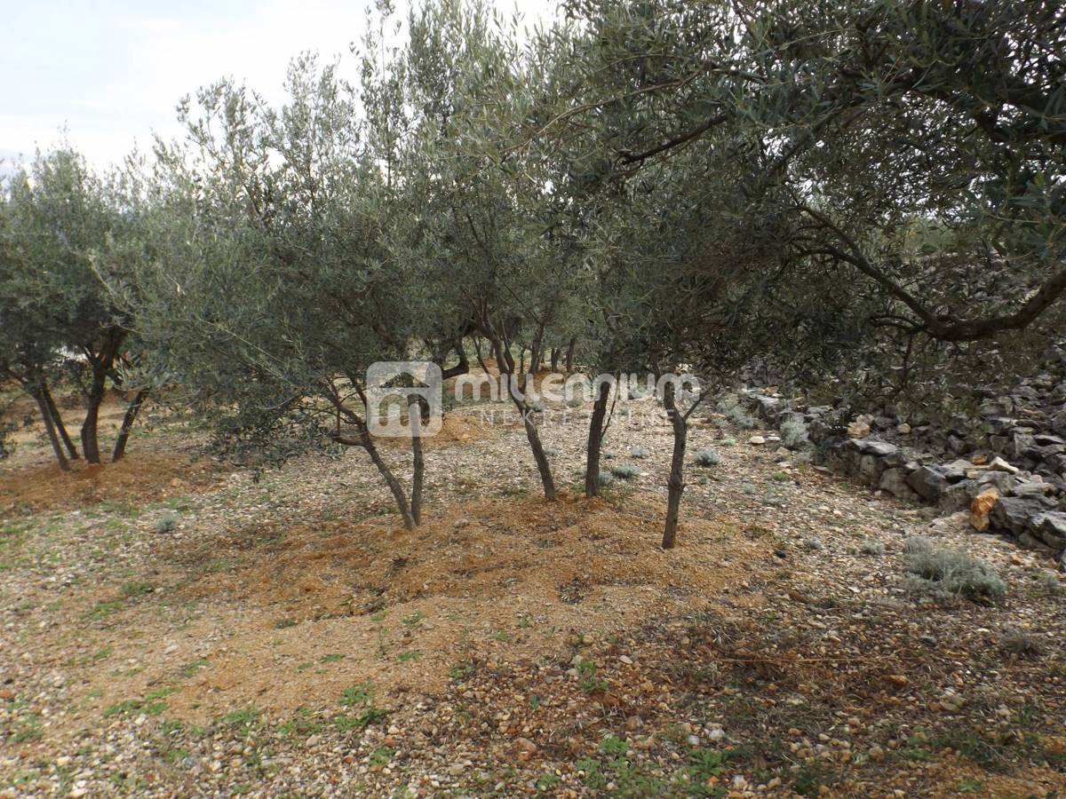 Terreno Krk, 2.334m2