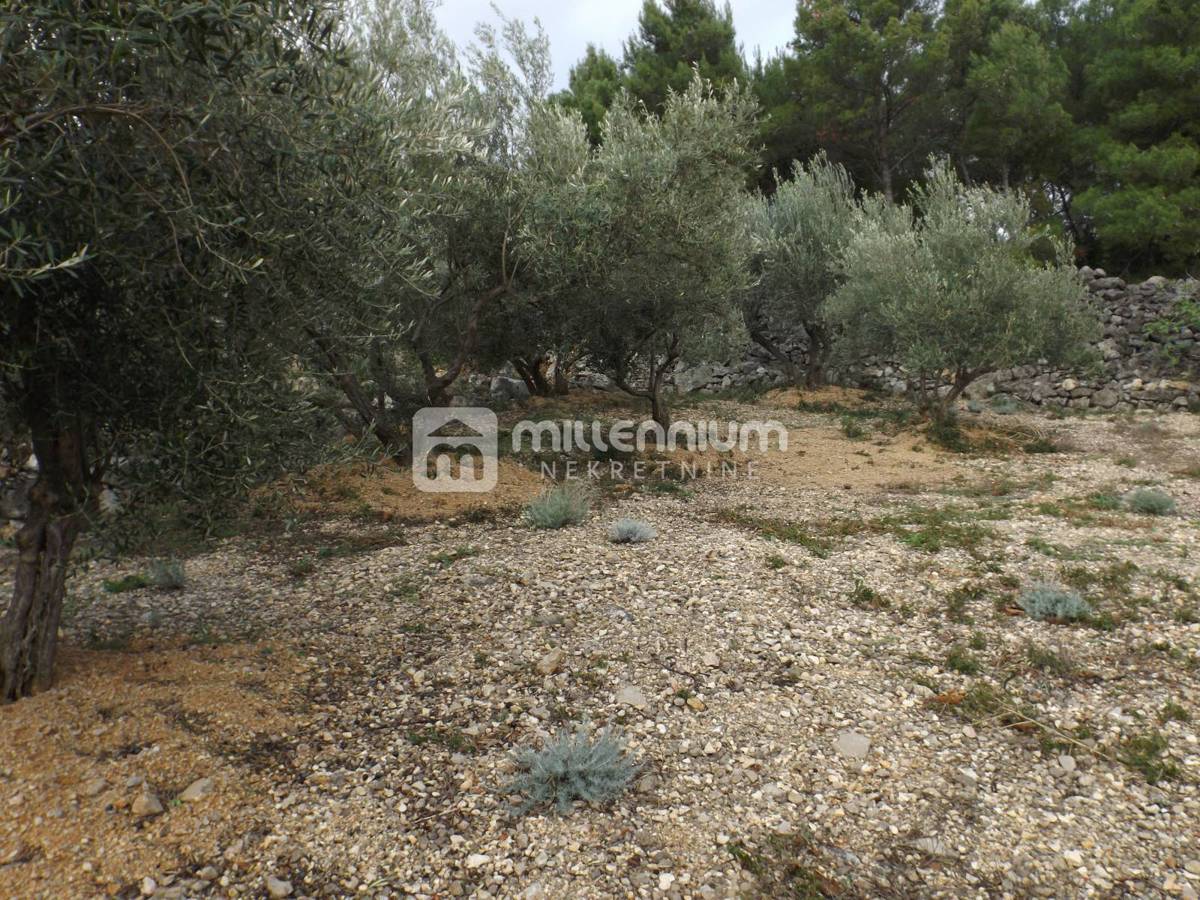 Terreno Krk, 2.334m2