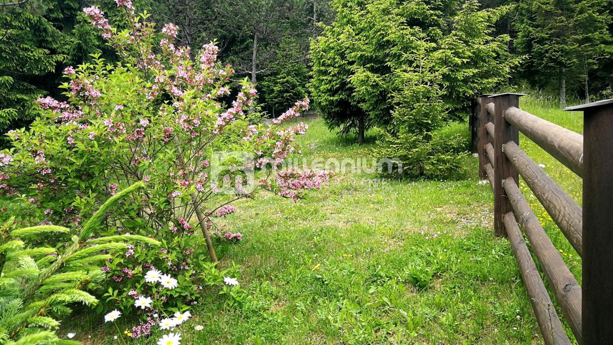 Casa Stari Laz, Ravna Gora, 240m2