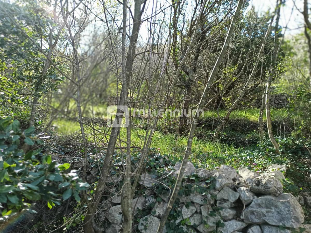 Terreno Jablanac, Senj, 2.264m2