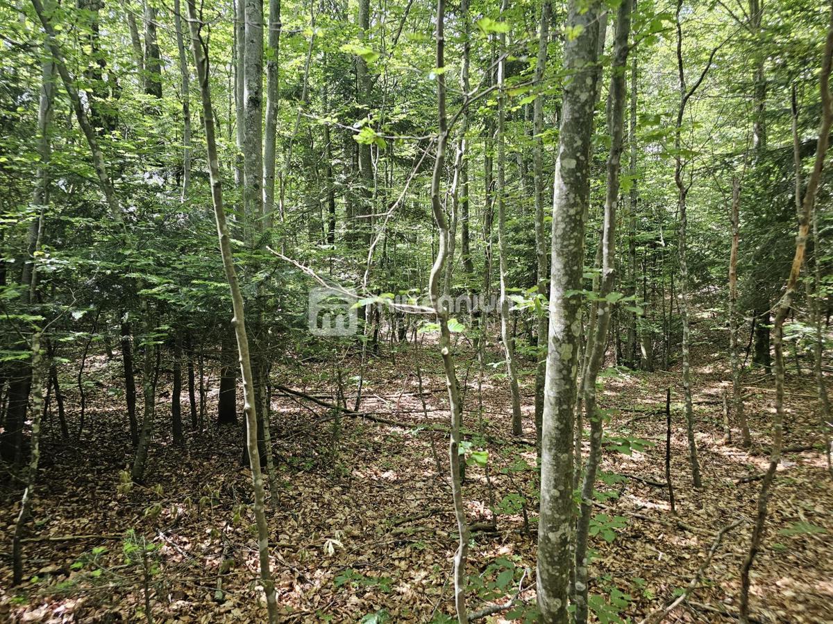 Terreno Bosiljevo, 100.581,31m2
