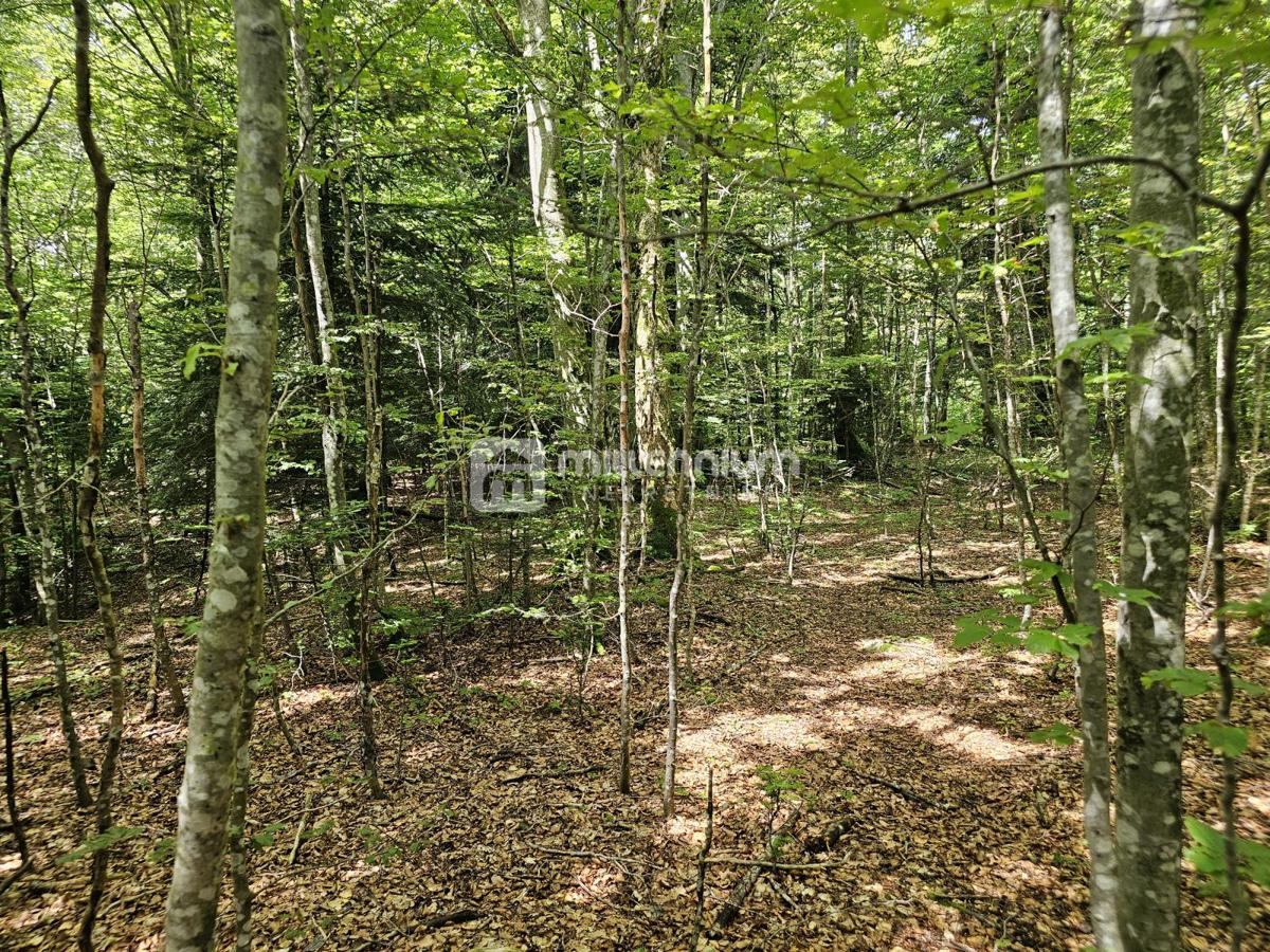 Terreno Bosiljevo, 100.581,31m2