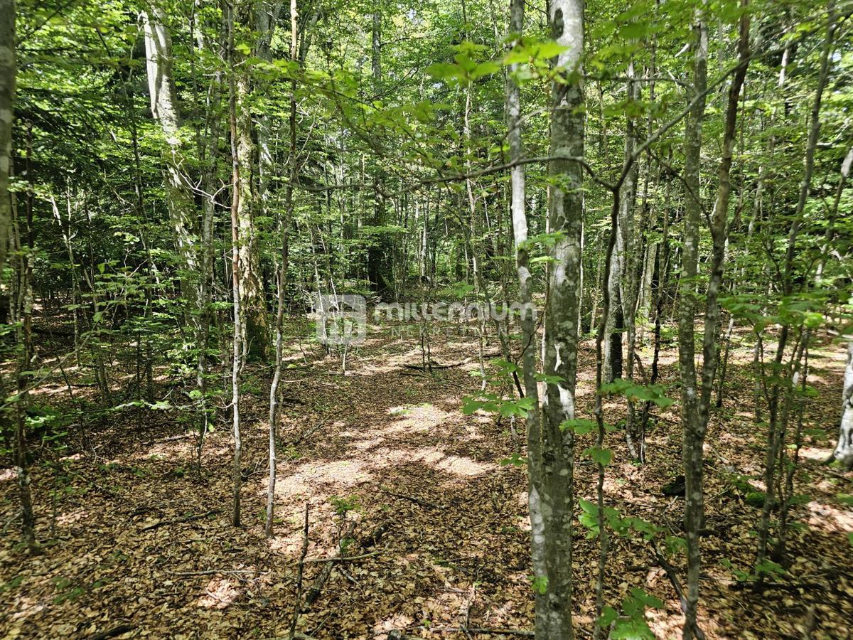 Terreno Bosiljevo, 100.581,31m2