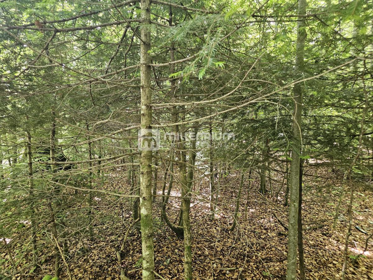 Terreno Bosiljevo, 100.581,31m2