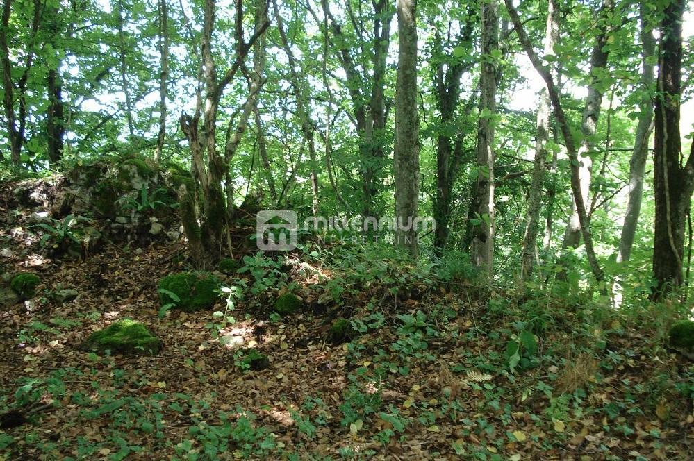 Terreno Ogulin, 17.425m2