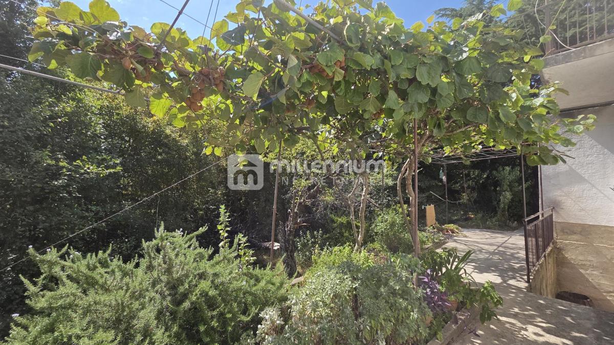 Casa Grižane-Belgrad, Vinodolska Općina, 290m2