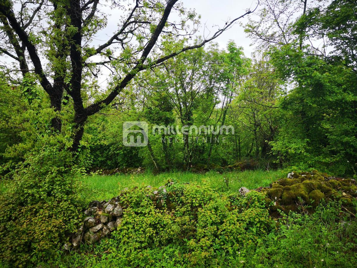 Terreno Ročko Polje, Buzet, 66.228m2