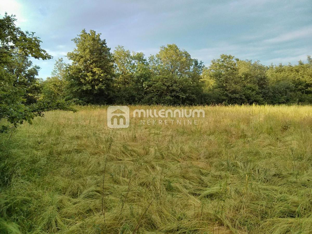 Terreno Labin, 24.999m2