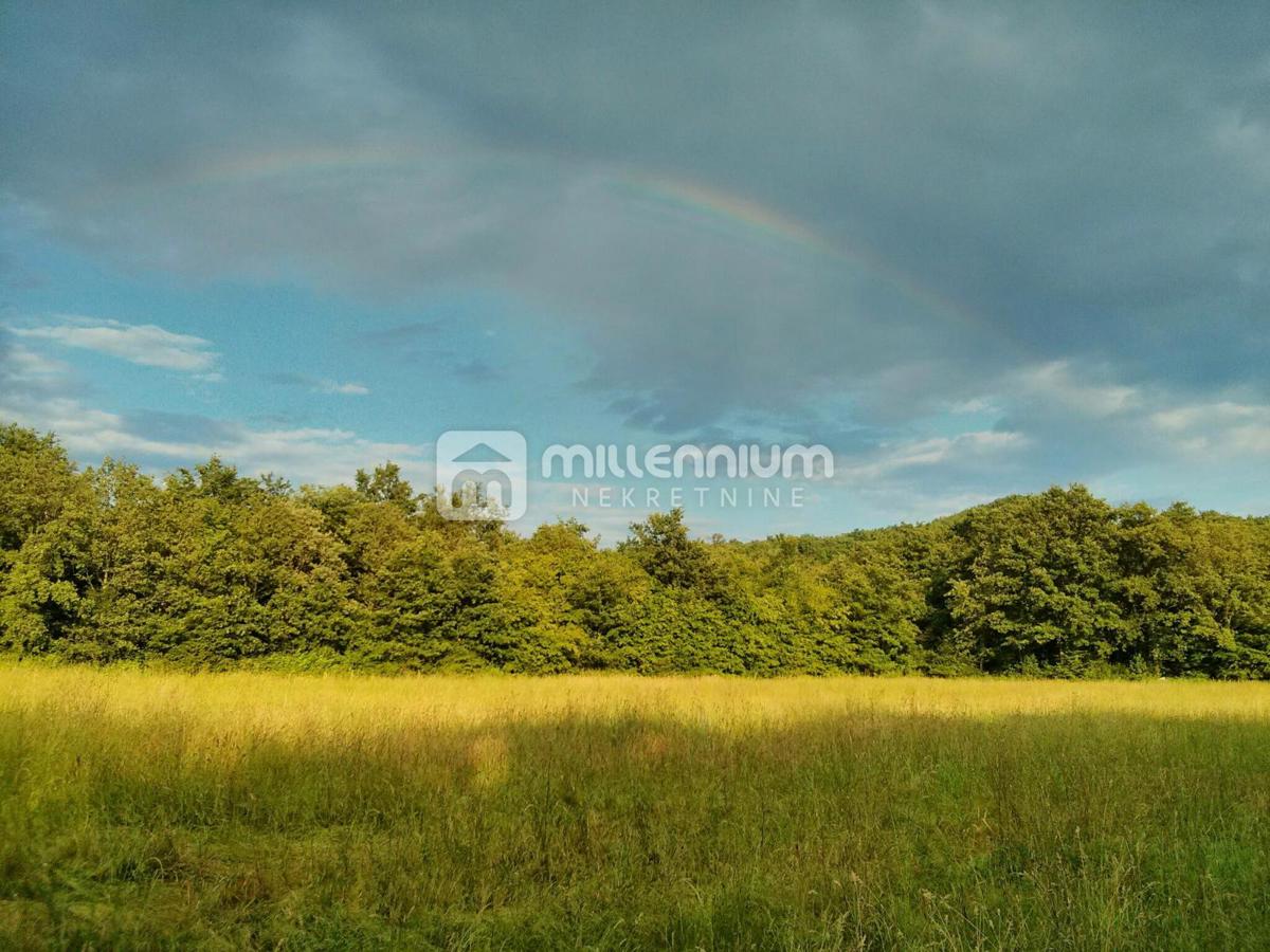 Terreno Labin, 24.999m2