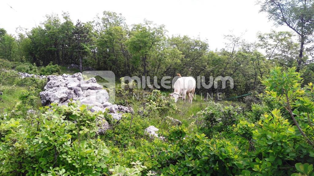 Terreno Gornja Drenova, Rijeka, 7.557m2