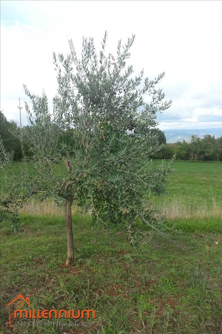 Terreno Karojba, 14.700m2