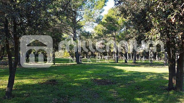 Terreno Rovinj, 12.058m2