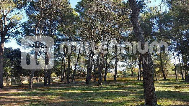 Terreno Rovinj, 12.058m2