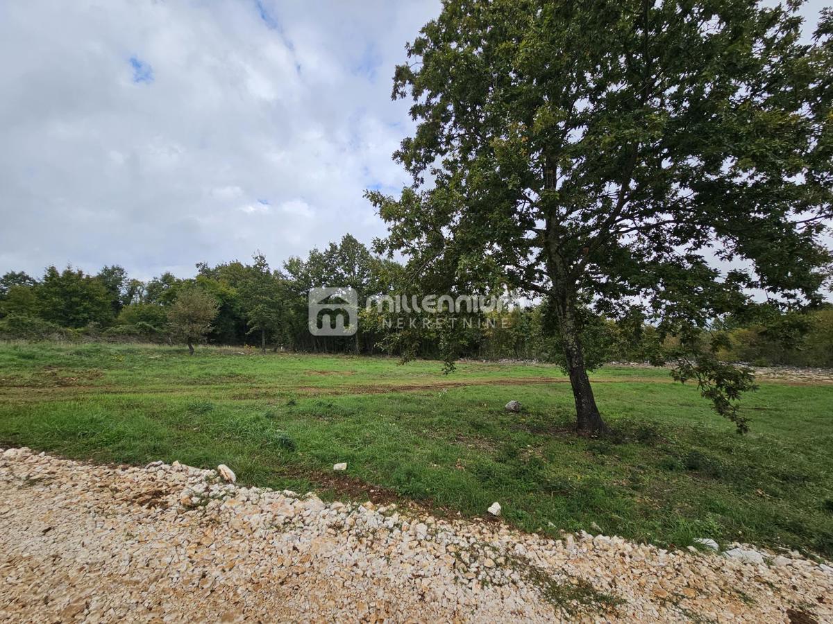 Terreno Rojnići, Barban, 910m2