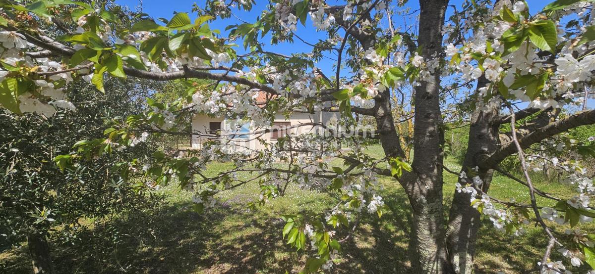 Casa Baderna, Poreč, 100m2