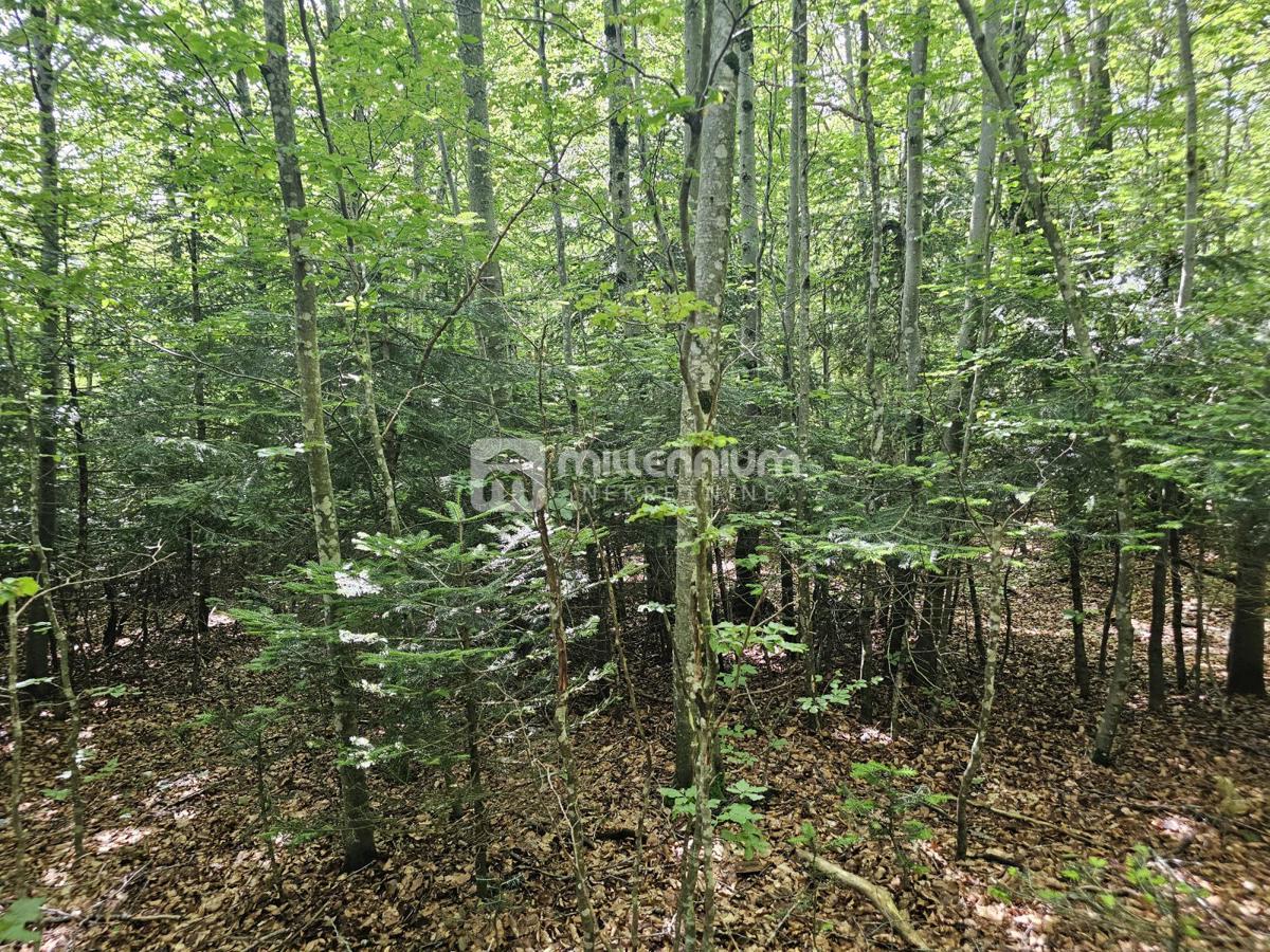 Terreno Bribir, Vinodolska Općina, 9.758m2