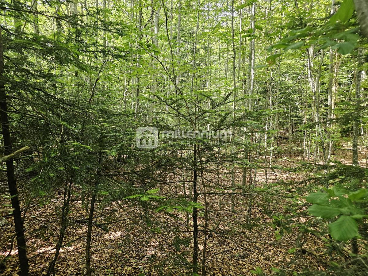 Terreno Bribir, Vinodolska Općina, 9.758m2