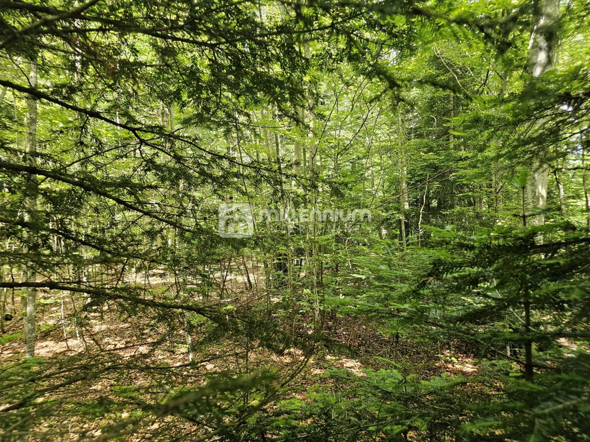 Terreno Bribir, Vinodolska Općina, 9.758m2