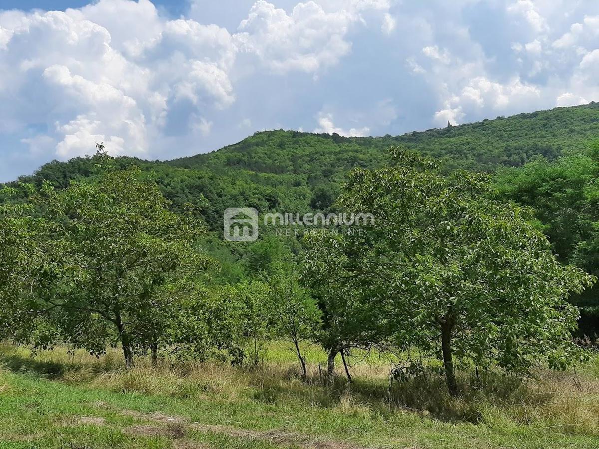 Terreno Čavle, 3.805m2